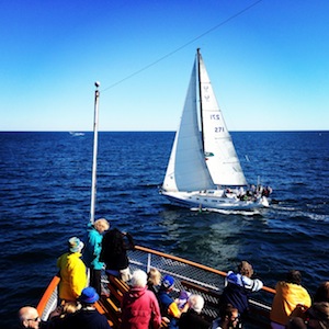 Image 7 Image 7