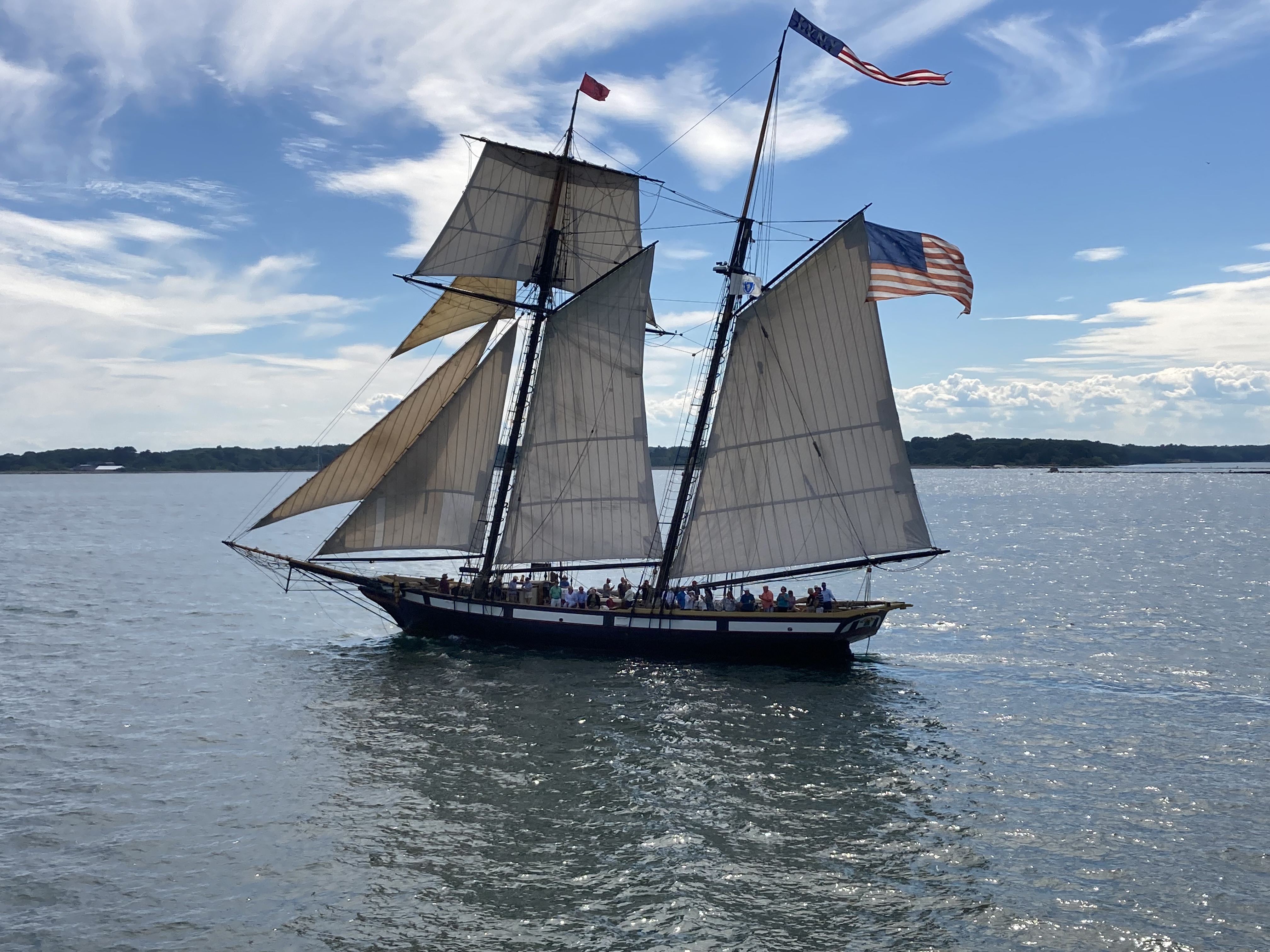 Parade of Sails!